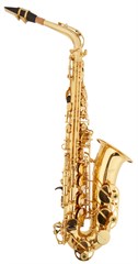 Bacio Instruments SA-01L