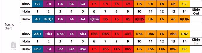 Hohner Meisterklasse chromatic - Mundharmonika