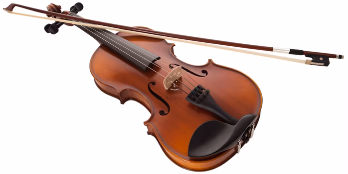 Gewa PS401.621 - Akustische Violine