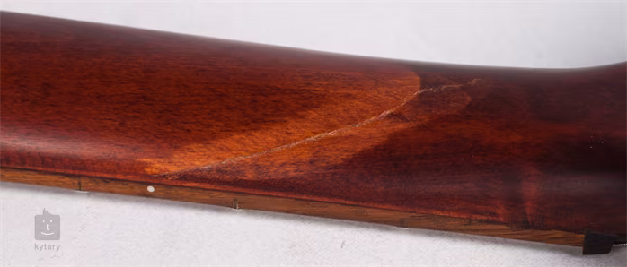 Cort M200 WS (použité) - E-Gitarre