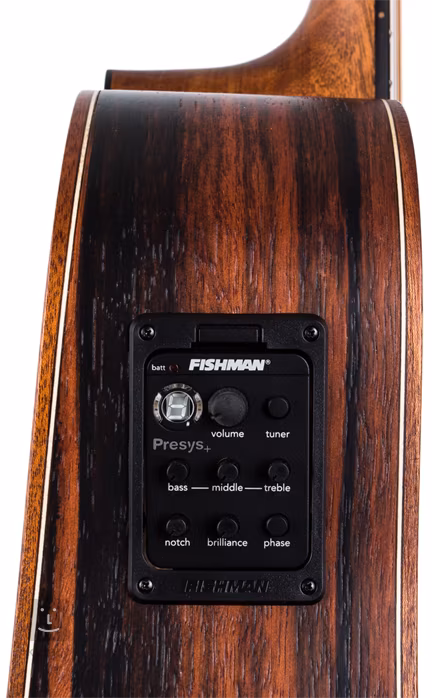 Dowina Danubius DCE - Elektroakustische Gitarre