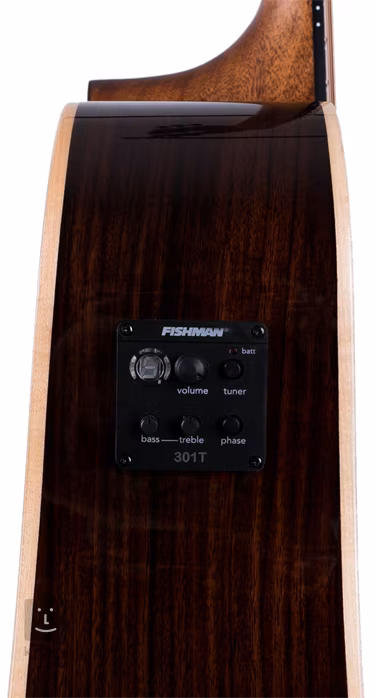 Washburn Woodline WLD20SCE-O-U - Elektroakustische Gitarre