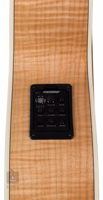 Washburn Heritage HJ40SCE-O-U - Elektroakustische Gitarre