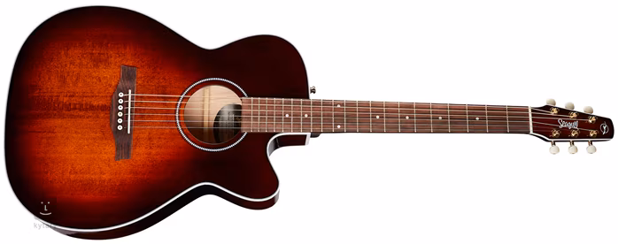 Seagull Performer CW CH Burnt Umber QIT - Elektroakustische Gitarre