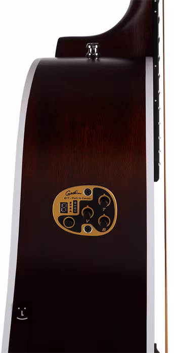 Seagull Maritime SWS SG QIT 2018 - Elektroakustische Gitarre