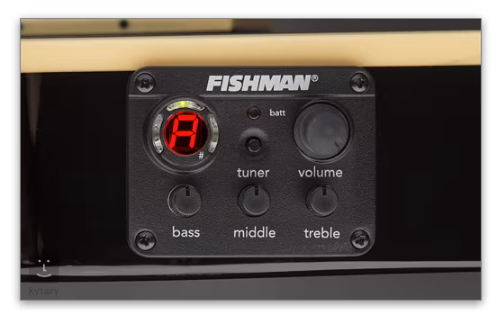 ESP LTD TL-6 BLK LH - Linkshänder elektroakustische Gitarre