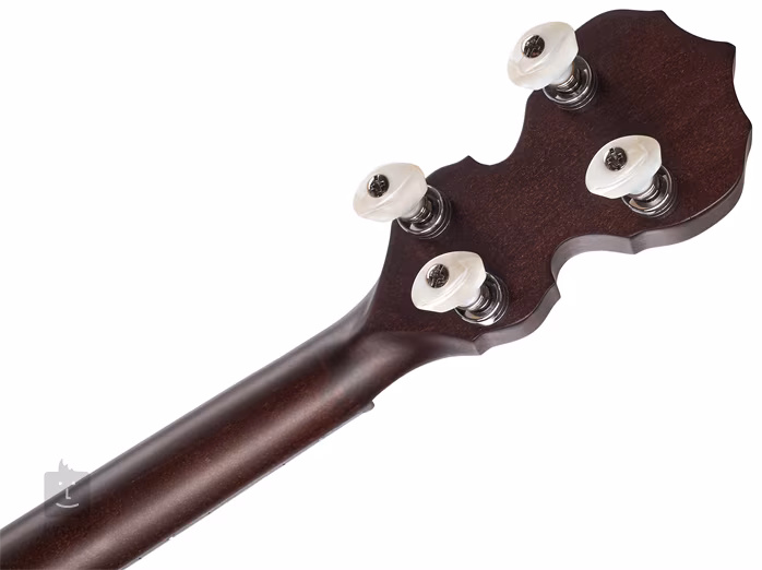 Deering Artisan Goodtime Special 17-Fret Tenor - Tenor-Banjo