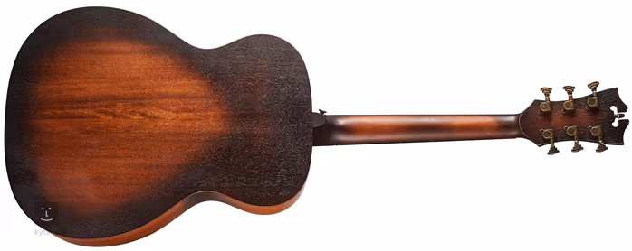 D'Angelico Premier Tammany Aged Natural - Akustische Gitarre