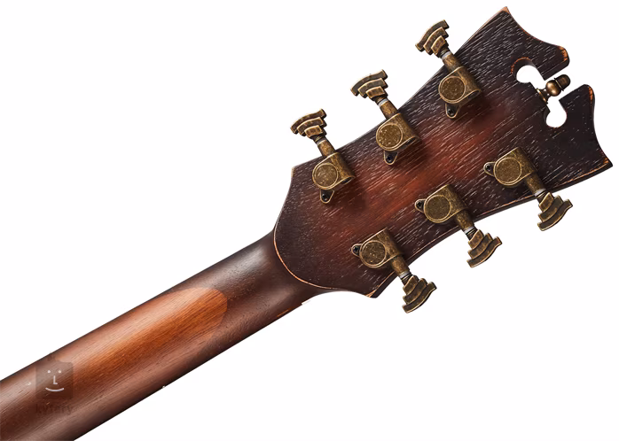 D'Angelico Premier Tammany Aged Natural - Akustische Gitarre