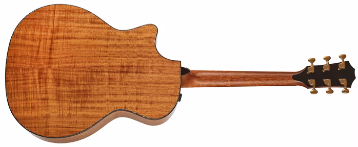 Taylor PS14ce V-Class Bracing - Elektroakustische Gitarre