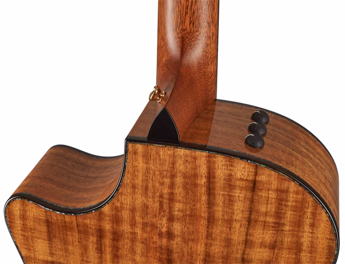 Taylor PS14ce V-Class Bracing - Elektroakustische Gitarre