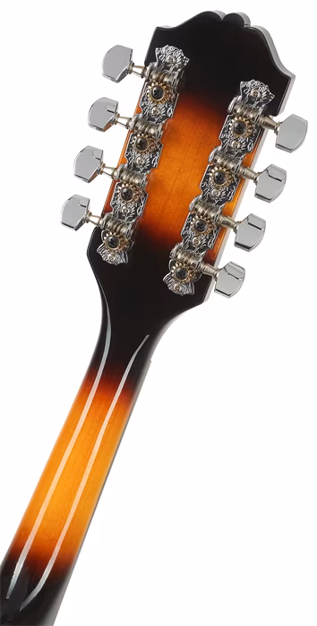 Washburn M1TS-A-U - Akustische Mandoline