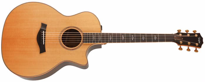 Taylor Custom GA-ce Cocobolo - Elektroakustische Gitarre