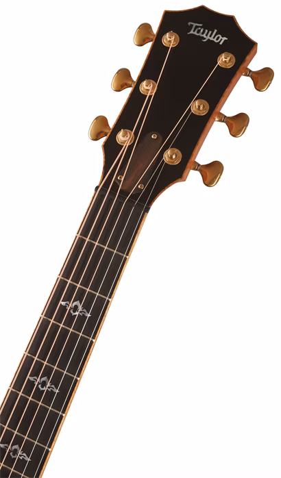 Taylor Custom GA-ce Cocobolo - Elektroakustische Gitarre