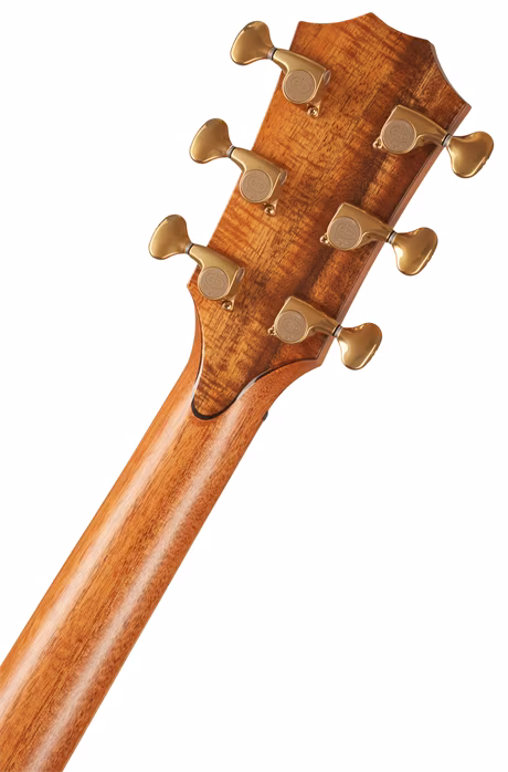 Taylor Custom GA-ce Cocobolo - Elektroakustische Gitarre