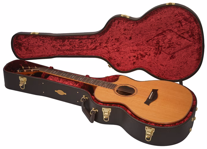Taylor Custom GA-ce Cocobolo - Elektroakustische Gitarre