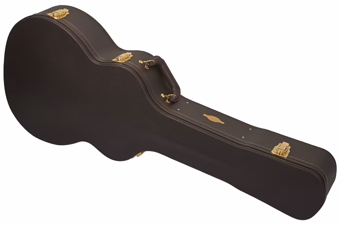 Taylor Custom GA-ce Cocobolo - Elektroakustische Gitarre