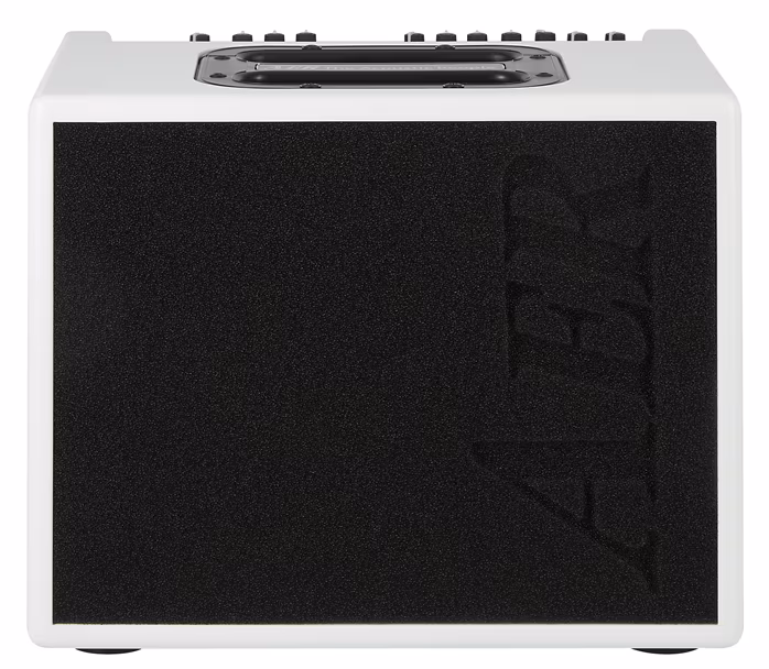 Aer Compact 60 IV White Matte Finish - Combo für akustische Instrumente