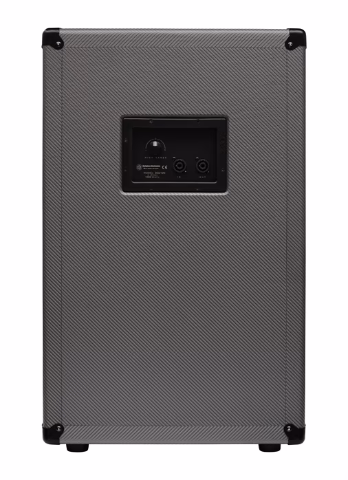Darkglass DG212N - Bassgitarren-Lautsprecher