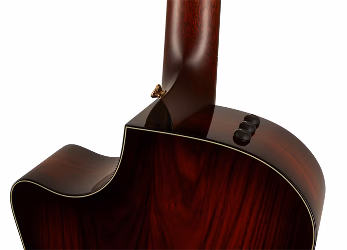Taylor 814ce LTD Cocobolo Lutz - Elektroakustische Gitarre