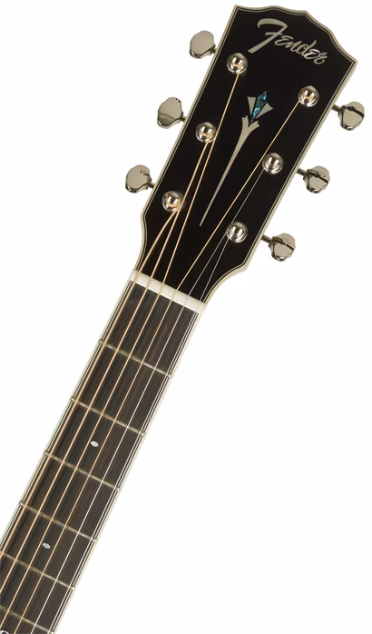 Fender LTD ED PM-1E Black - Elektroakustische Gitarre