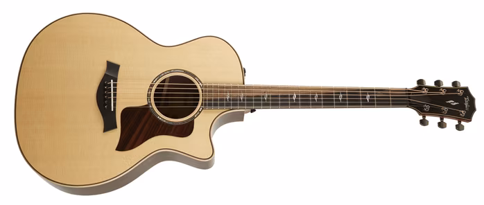 Taylor 814ce - Elektroakustische Gitarre
