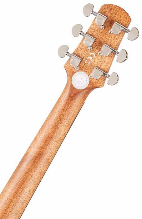 Walden WAG550E - Elektroakustische Gitarre