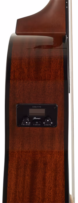 Ibanez AEG50NH Black - Klassische elektroakustische Gitarre