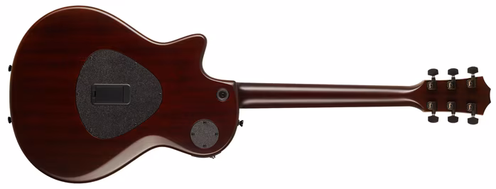 Taylor T5z Classic Sassafras Top - Elektroakustische Hybridgitarre