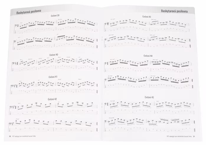 Baskytarová posilovna 101 arpeggií pro melodické basové linky - Bass-Schule für Anfänger