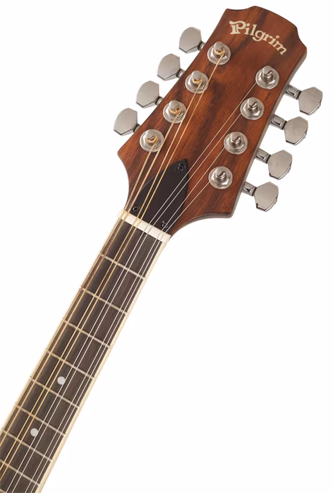 Pilgrim VPMD100 - Akustische Mandola