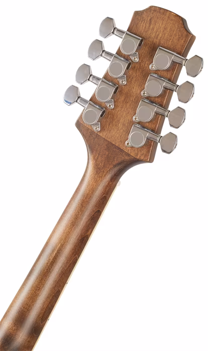 Pilgrim VPMD100 - Akustische Mandola