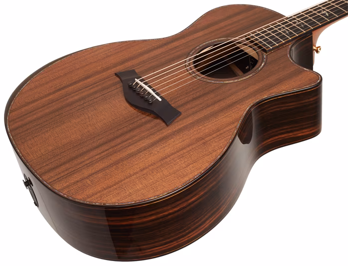 Taylor 914ce LTD - Elektroakustische Gitarre