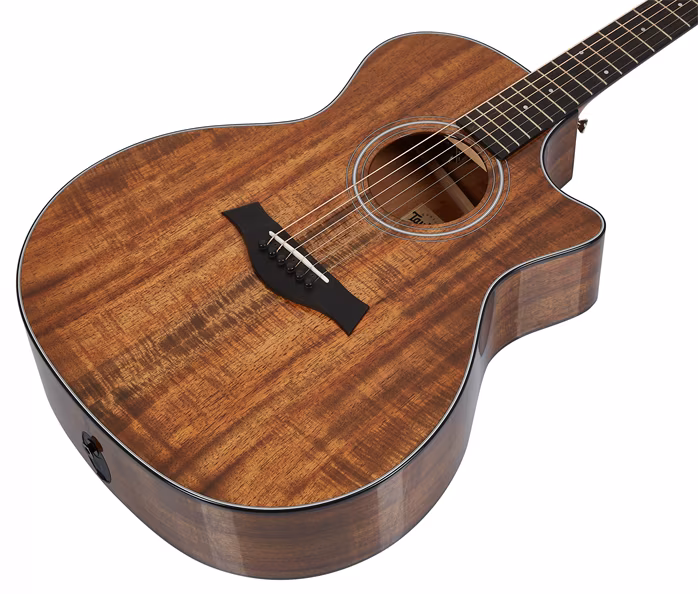 Taylor 424ce-K - Elektroakustische Gitarre