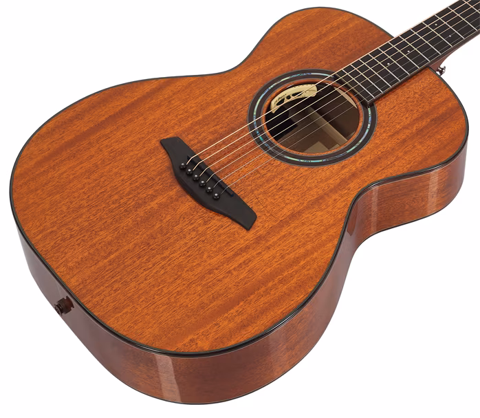 Furch Rainbow OM-MM - Elektroakustische Gitarre