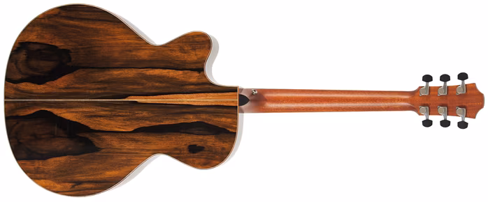 Furch Rainbow Sc-LE - Elektroakustische Gitarre