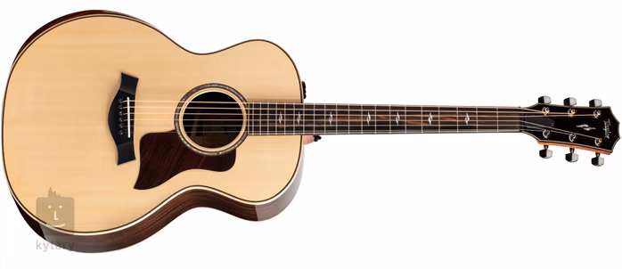 Taylor 814e - Elektroakustische Gitarre