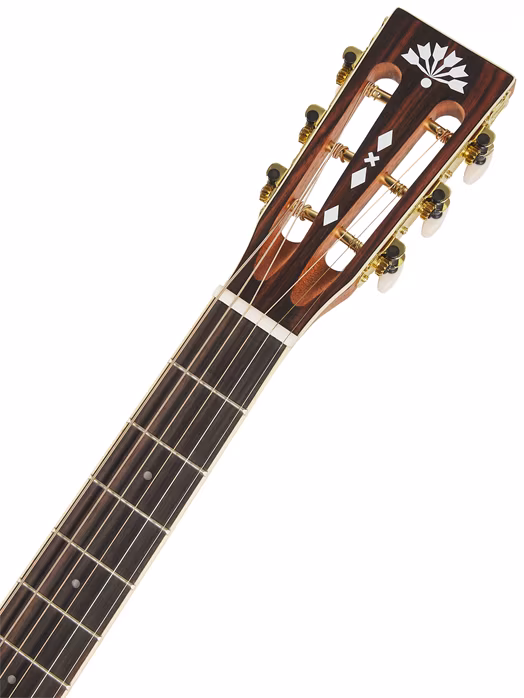 Washburn WP11SNS-D-U - Akustische Gitarre