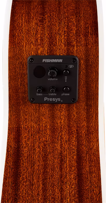 Sigma Guitars JM12-1STE - Zwölfsaitige elektroakustische Gitarre