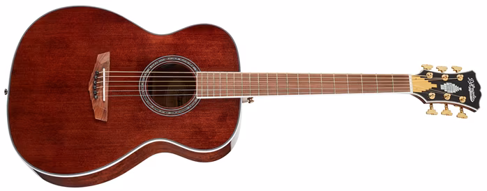 D'Angelico Tammany XT Orchestra Walnut Stain - Elektroakustische Gitarre