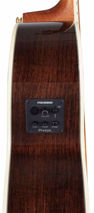 ESP LTD J-430E NAT - Elektroakustische Gitarre