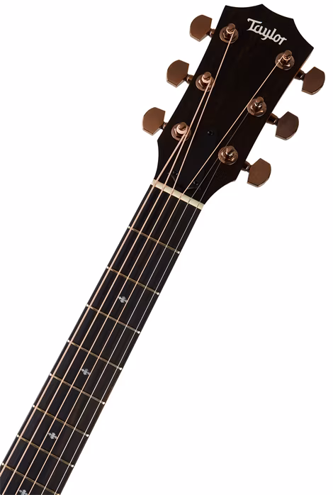 Taylor 224ce-K DLX - Elektroakustische Gitarre