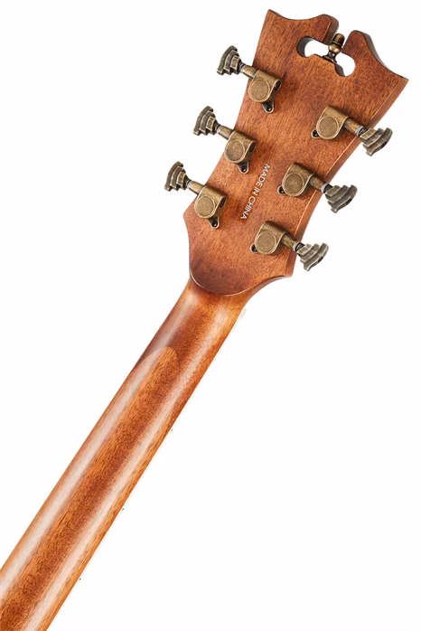 D'Angelico Premier Tammany Vintage Natural - Elektroakustische Gitarre