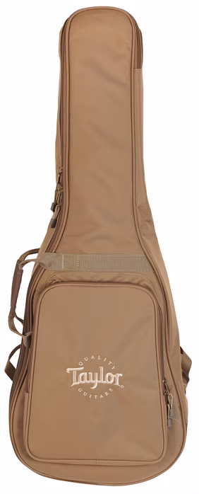 Taylor Academy 12 - Akustische Gitarre