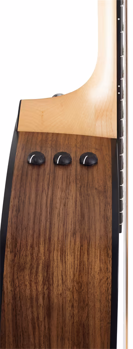 Taylor 110e - Elektroakustische Gitarre