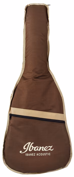 Ibanez AE205JR-OPN (erweitert) - Elektroakustische Gitarre