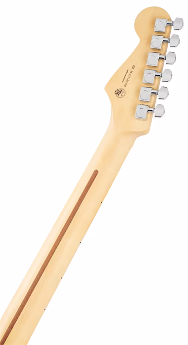 Fender Player Stratocaster MN PWT - E-Gitarre