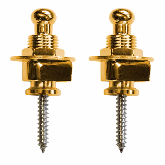 Richter Strap Lock Set Gold - Security Locks für Gurt