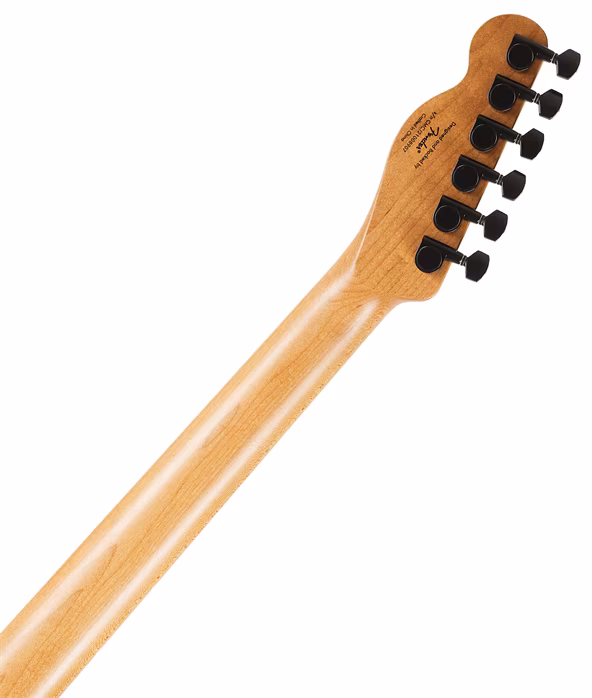 Fender Squier Contemporary Telecaster RH Roasted MN SG - E-Gitarre