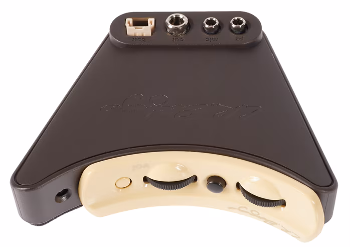 L.R. Baggs Anthem - Aktive Elektronik für Gitarre